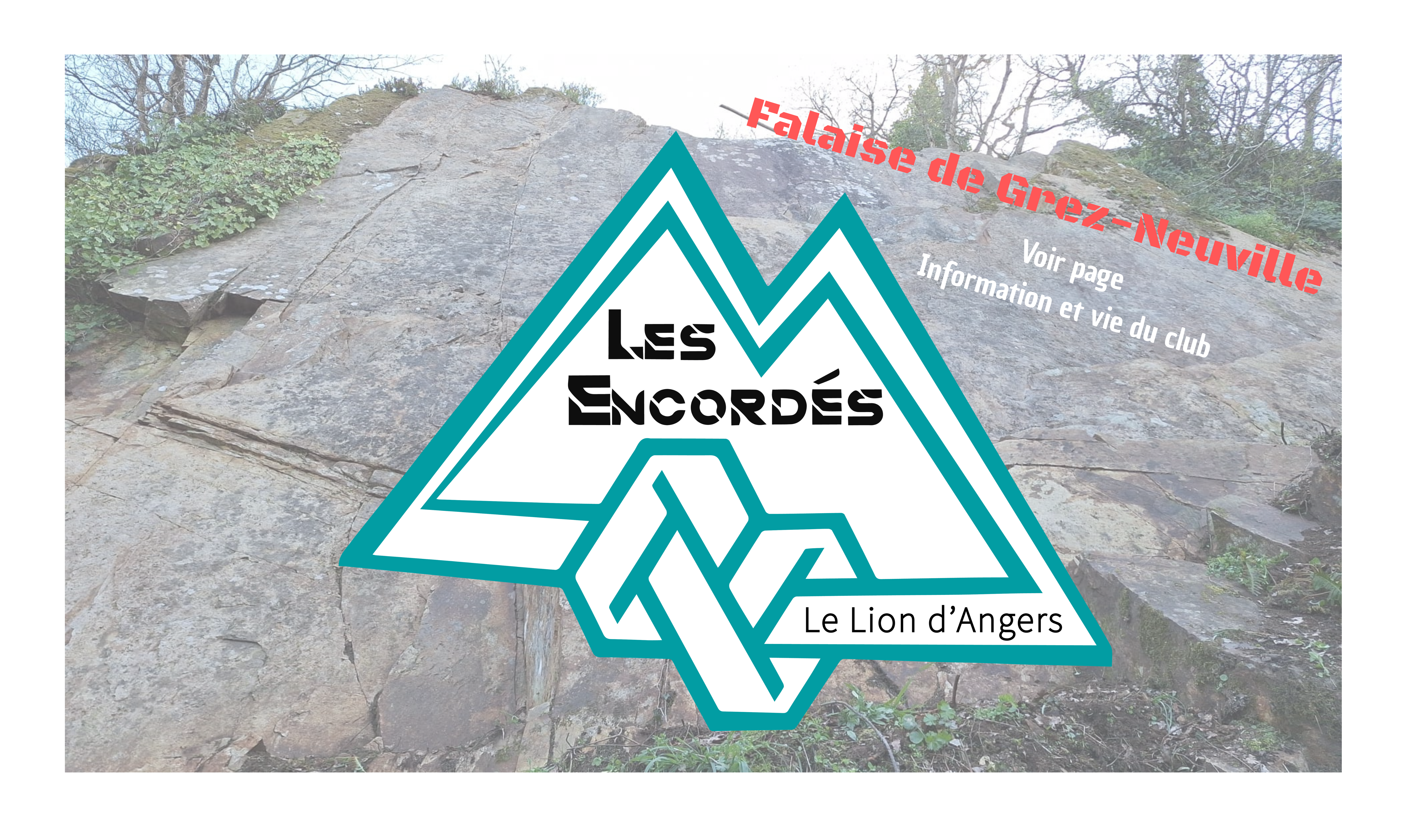 Les Encordés